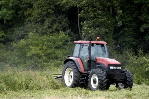 The harvest of colza Stock Photos