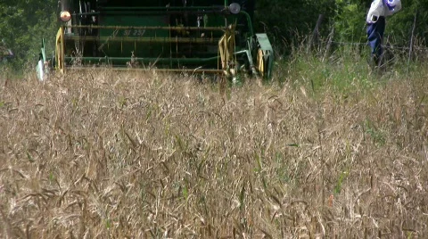 Harvest combine Stock Footage 501682