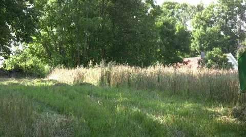 Harvest combine Stock Footage 501820