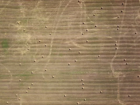 Harvest concept. Stock Footage 80374882