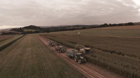 Harvest Convoy Stock Footage 44291423