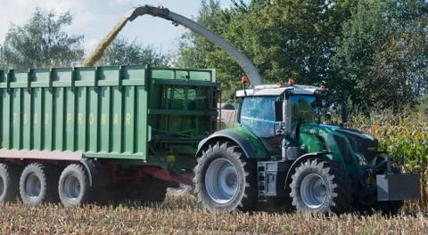 Harvest corn harvester and tractor in corn Foto stock