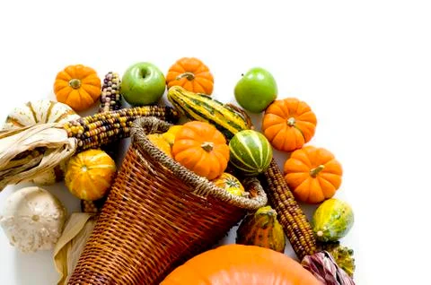 Harvest cornucopia Stock Photos