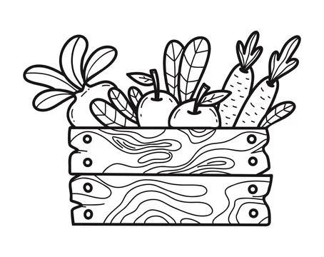Harvest Crate Doodle. Hand Drawn Rustic Wooden Box With Organic Fruits And .. Stock Illustration