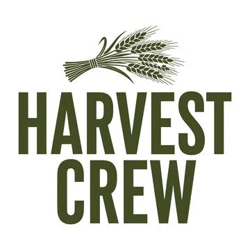 Harvest Crew logo with wheat bundle on white background tshirt design Stock Illustration