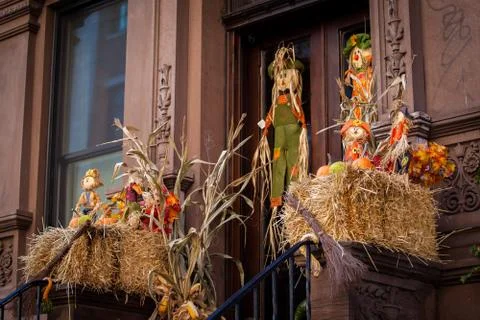 Harvest decorations Stock Photos