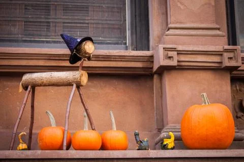 Harvest decorations Stock Photos
