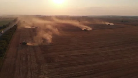 Harvest during summer sunset from the fields. Many combines harvesting wheat Stock Footage 138620693