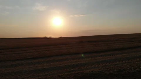Harvest during summer sunset from the fields. Many combines harvesting wheat Stock Footage 138620738
