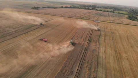 Harvest during summer sunset from the fields. Many combines harvesting wheat Stock Footage 138621183