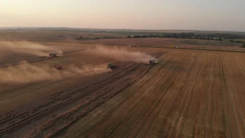 Harvest during summer sunset from the fields. Many combines harvesting wheat Stock Footage 138621207
