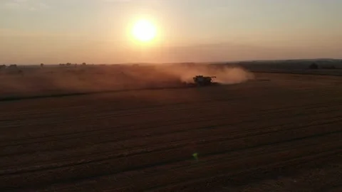 Harvest during summer sunset from the fields. Single combine harvesting wheat. Stock Footage 138621429