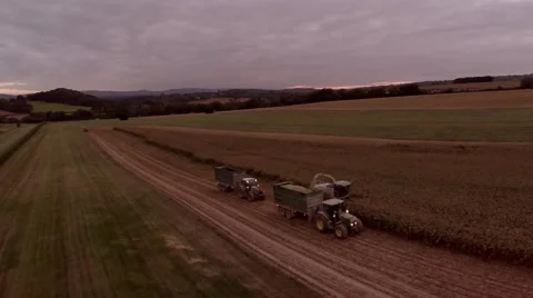 Harvest (Evening) 動画素材 44346334