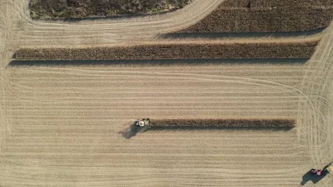 Harvest Every Row Stock Footage 230061853
