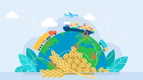 Harvest, export, import. Planet Earth and transport. Global logistics network Stock Footage 250282358