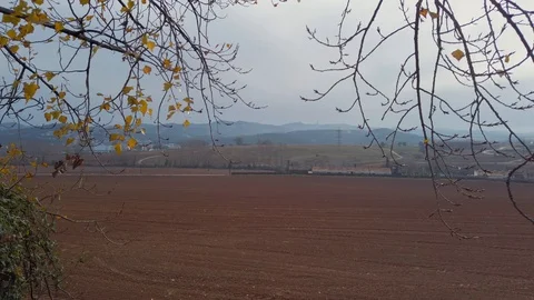 Harvest field during a winter cloudy day Stock Footage 122693962