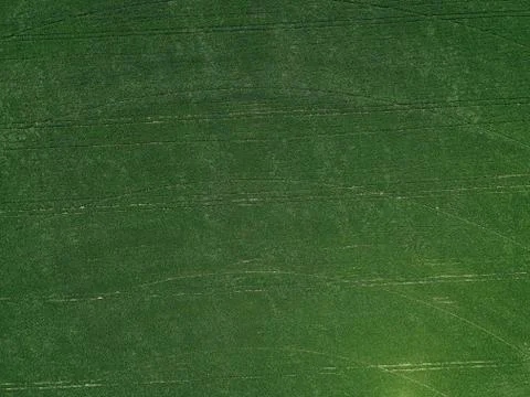 Harvest in the field Stock Photos