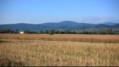 Harvest Stock Footage 7837706