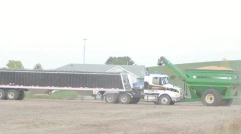 Harvest Video stock 12249425