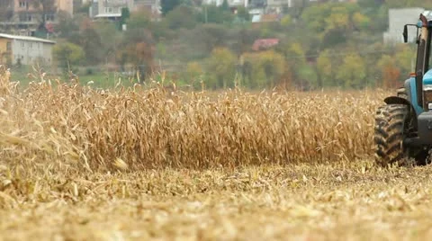 Harvest Stock Footage 12518250