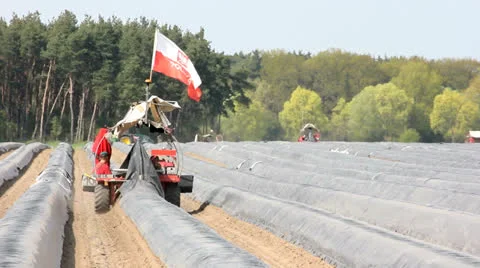 Harvest Stock Footage 23167663