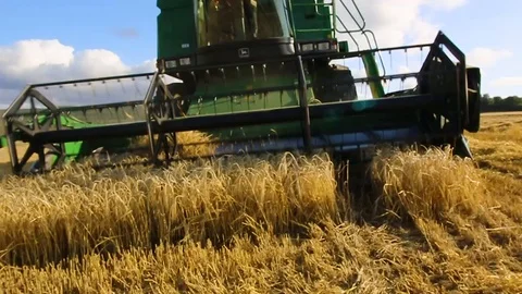 Harvest Stock Footage 94583946