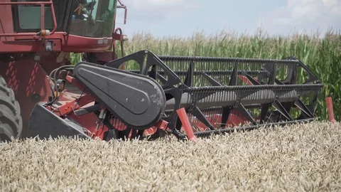 Harvest Video stock 112778798