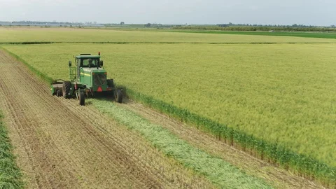 Harvest Stock Footage 128667648