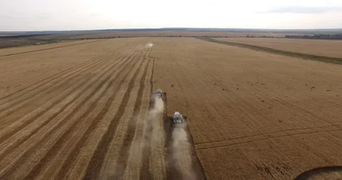 Harvest Video stock 130639304