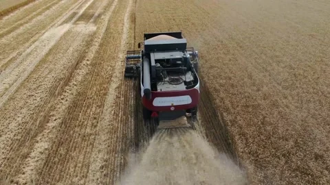 Harvest Stock Footage 136943409