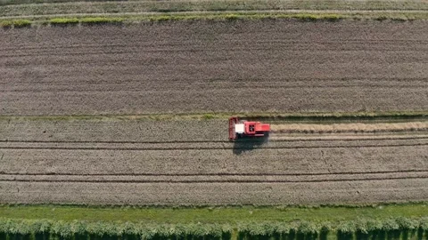 Harvest Stock Footage 158746015