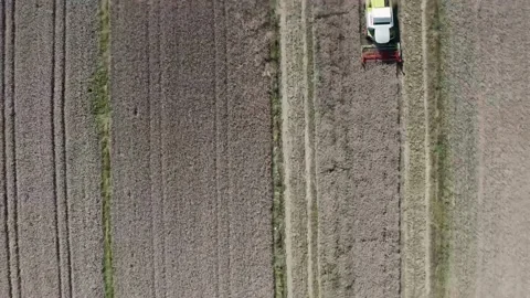 Harvest Stock Footage 158831932