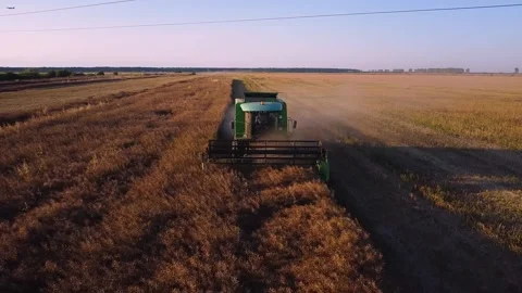 Harvest Stock Footage 246773168