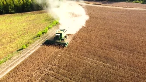 Harvest 動画素材 250615208