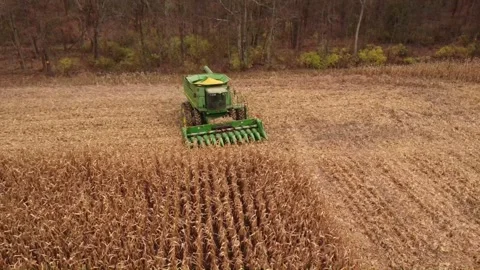 Harvest Stock Footage 264370809