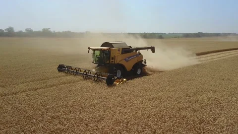 Harvest goes on the field low angle from drone. Collecting wheat. 4K Stock Footage 120133991