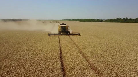Harvest goes on the field low angle from drone with rotation Stock Footage 120134402