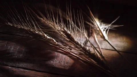 Harvest. Golden ears of wheat fall onto a wooden plank table. Slow motion Stock Footage 346814493