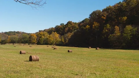 Harvest Hay Field 스톡 동영상 101434124