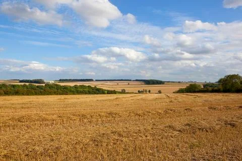 Harvest landscape Stock Photos