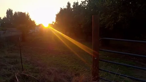 Harvest Lane Sunset Stock Footage 140408283