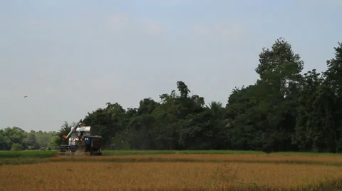 Harvest machine Stock Footage 30471731