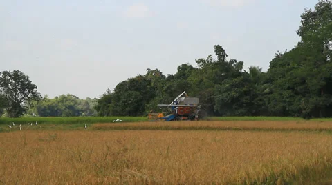 Harvest machine Stock Footage 30472034