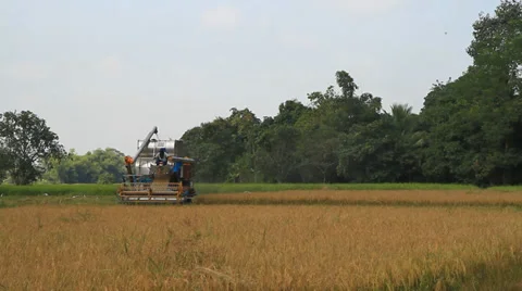 Harvest machine Stock Footage 30472457