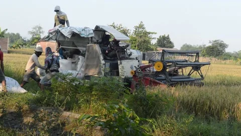 Harvest by machine Stockbeeldmateriaal 183478462