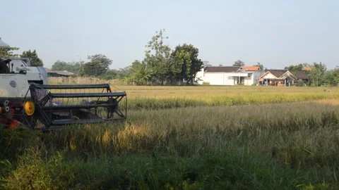 Harvest with machine Stock Footage 183480600