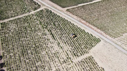Harvest machine Stock Footage 184410577