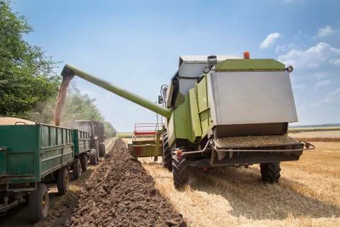 Harvest machine loading seeds in to tractor trailer Stock Photos