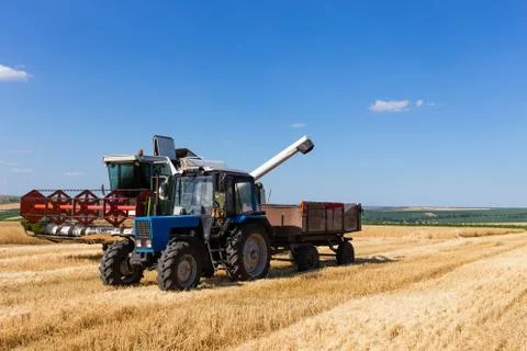 Harvest machine loading seeds in to trailer. Stock Photos