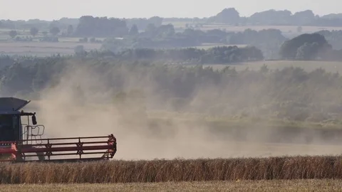 Harvest machine working in a dry day Stock Footage 71044045